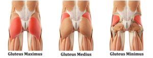 Gluteus Medius - The Answer to your Hip pain? - Hip Pain hip pain