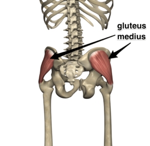 Kiss Hip Bursitis & Hip Pain Goodbye. Our Guide To Pain Free Living - Hip Pain Hip Bursitis