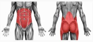 Core Exercises! Building A Healthy Spine - Back Pain core exercises