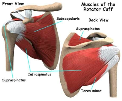 Rotator Cuff Injuries