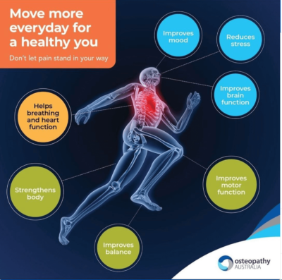 Finding an Osteopath Near You - Osteopathy Osteopathy in Glen Iris.