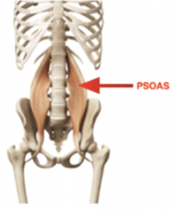 Pain-Free Ride. Find Out How! - Active Lifestyle & Gym Soreness Glen Iris Osteopath