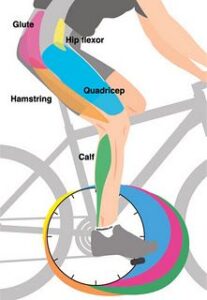 Pain-Free Ride. Find Out How! - Active Lifestyle & Gym Soreness pain-free ride