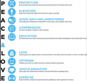 Hamstring Injuries. An Osteopathic Guide From Injury to Recovery - Uncategorized hamstring Injury