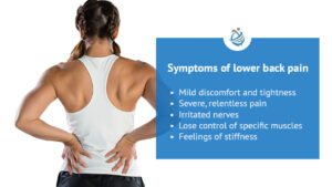 Back Pain, Niggles, Aches and Pain, Our Top 3 Tips Keeping Ashburton Locals Moving - Active Lifestyle & Gym Soreness Back Pain